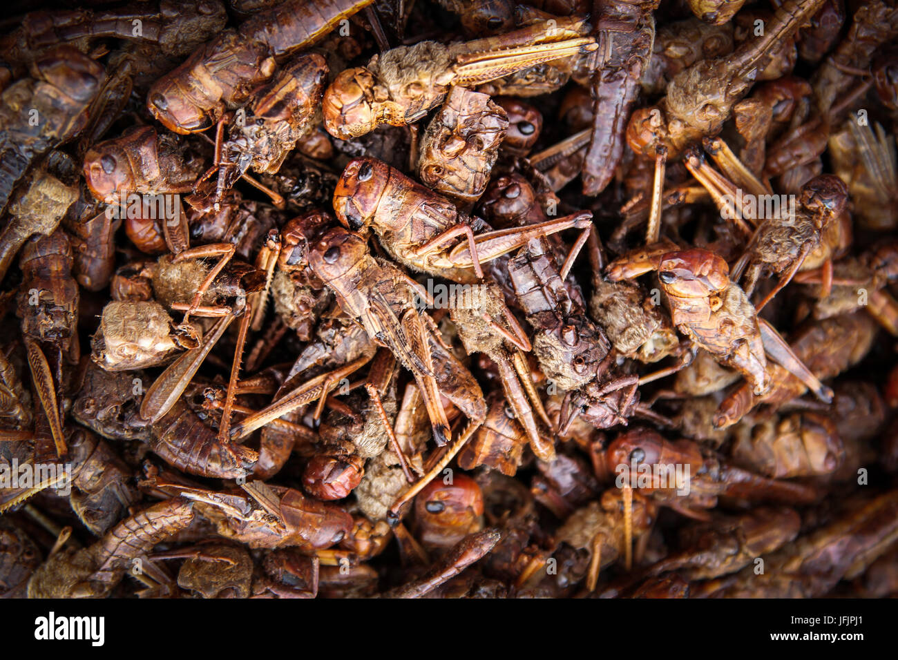 on sale Stock Photo Alamy