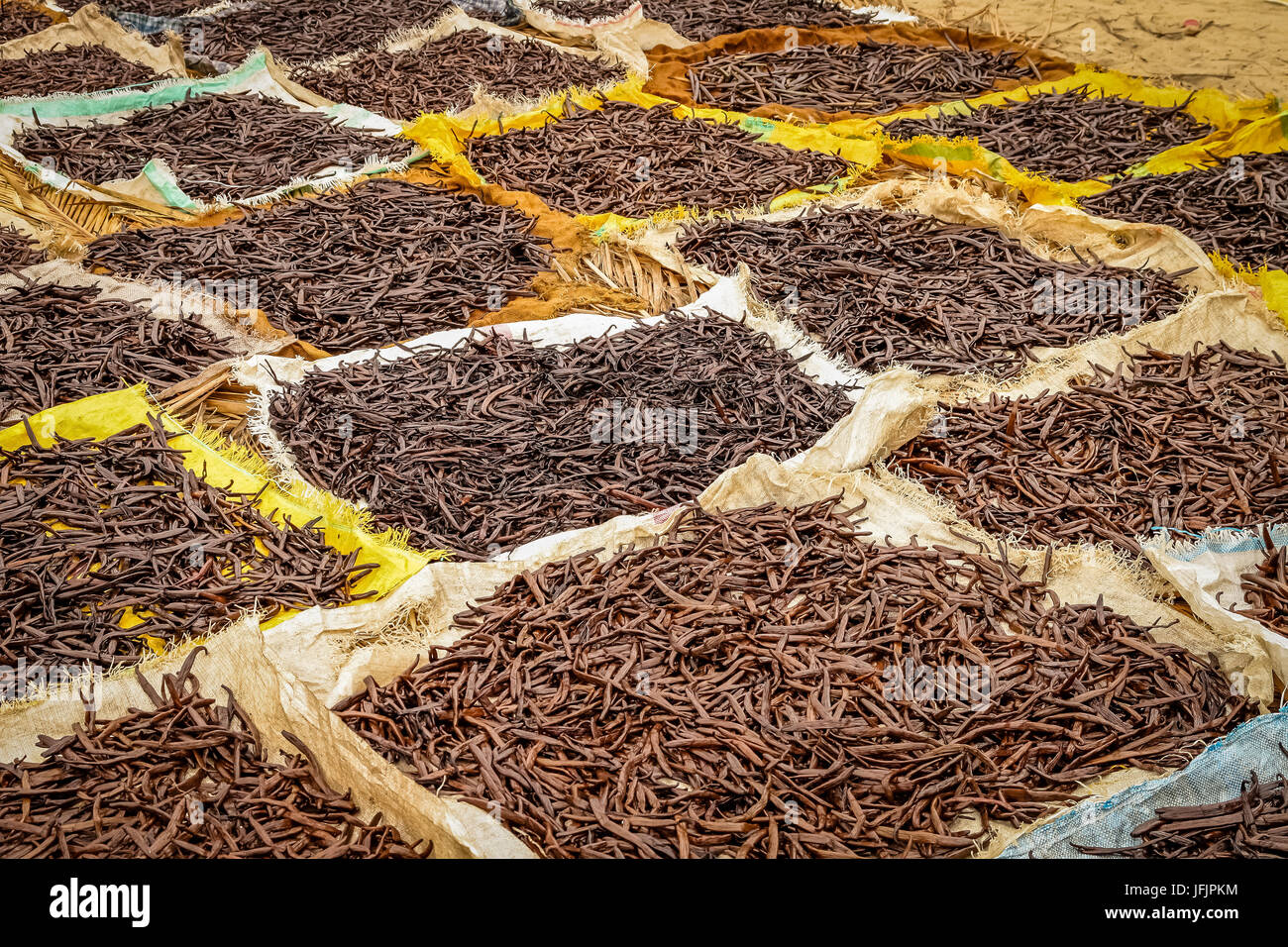 Drying vanilla in Madagascar Stock Photo Alamy