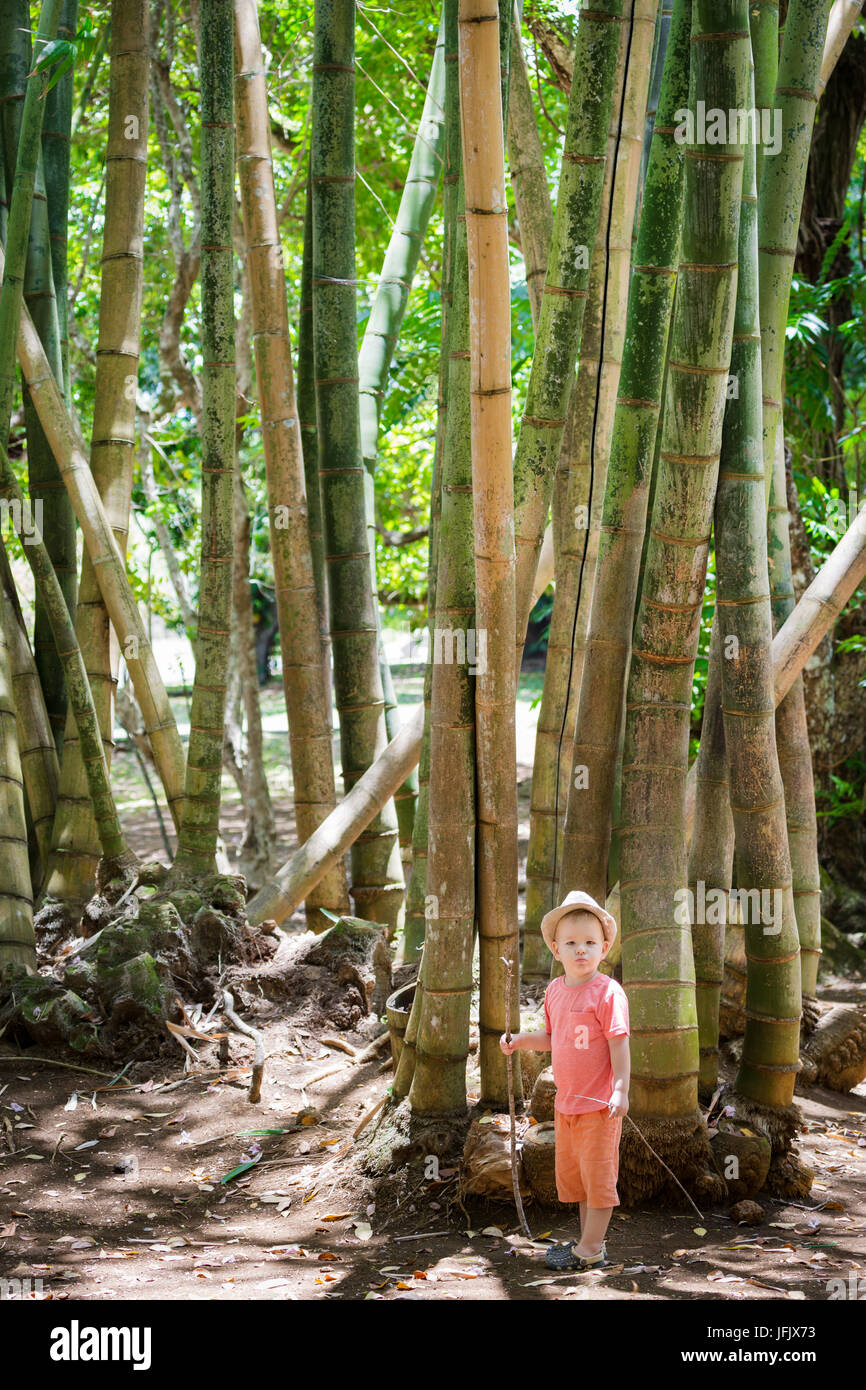 Boy at bamboo Stock Photo