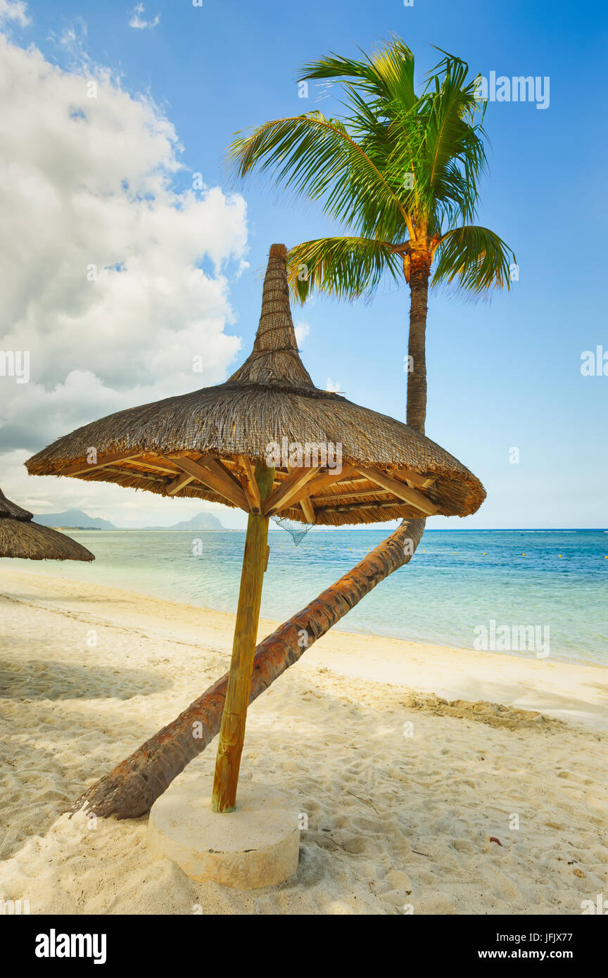 Sandy tropical beach. Stock Photo