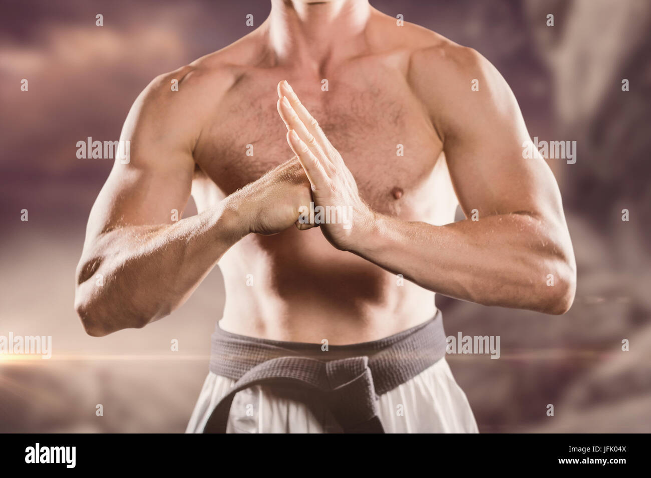 Composite image of fighter performing hand salute Stock Photo