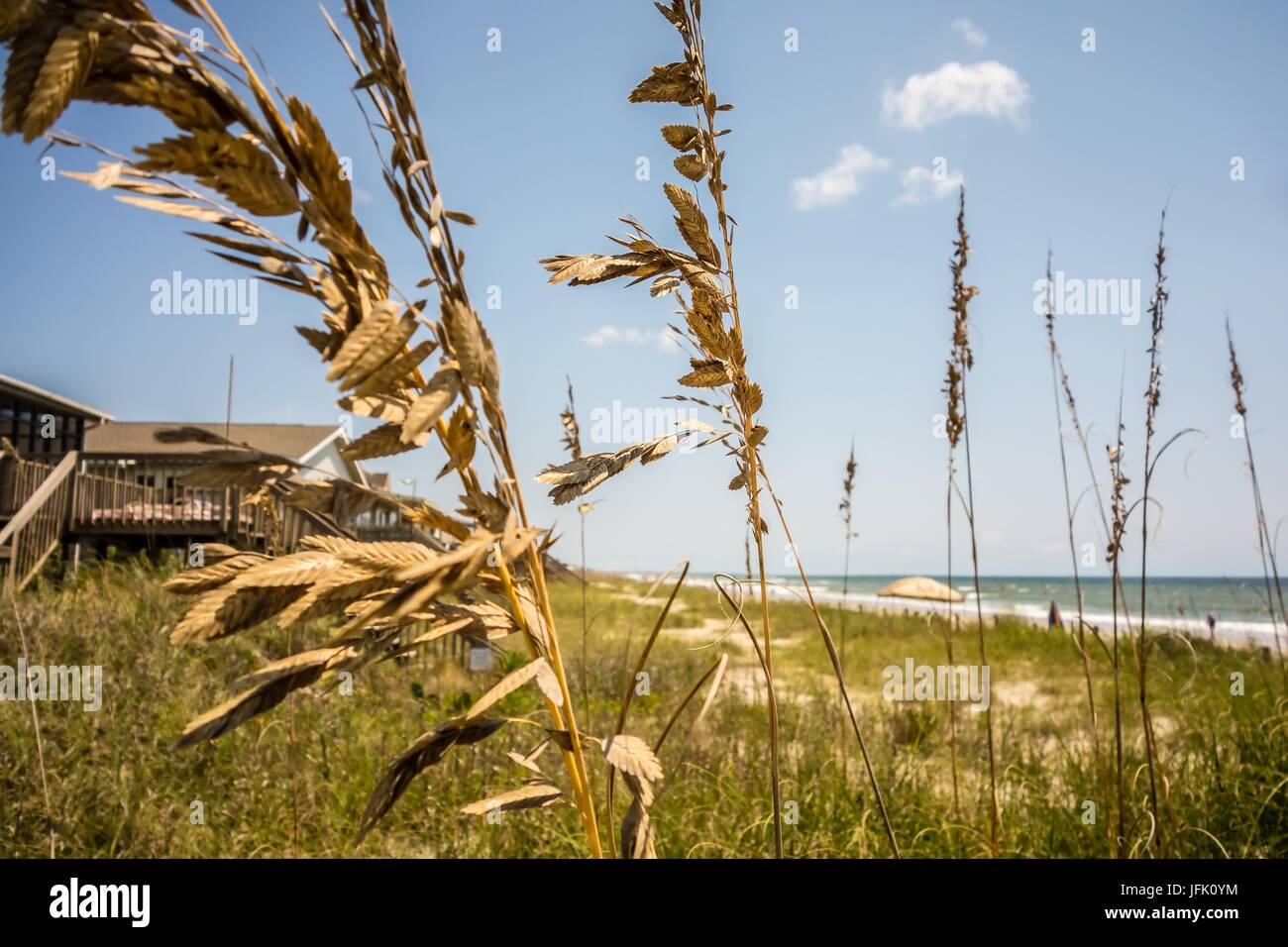 scenic views at oak island beach north carolina Stock Photo Alamy