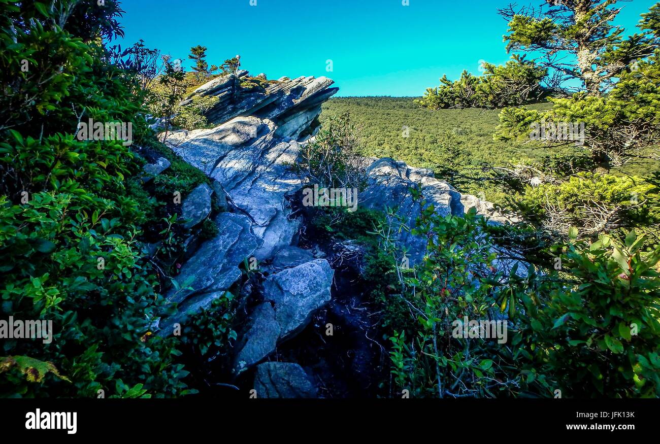 nature trail scenes to calloway peak north carolina Stock Photo