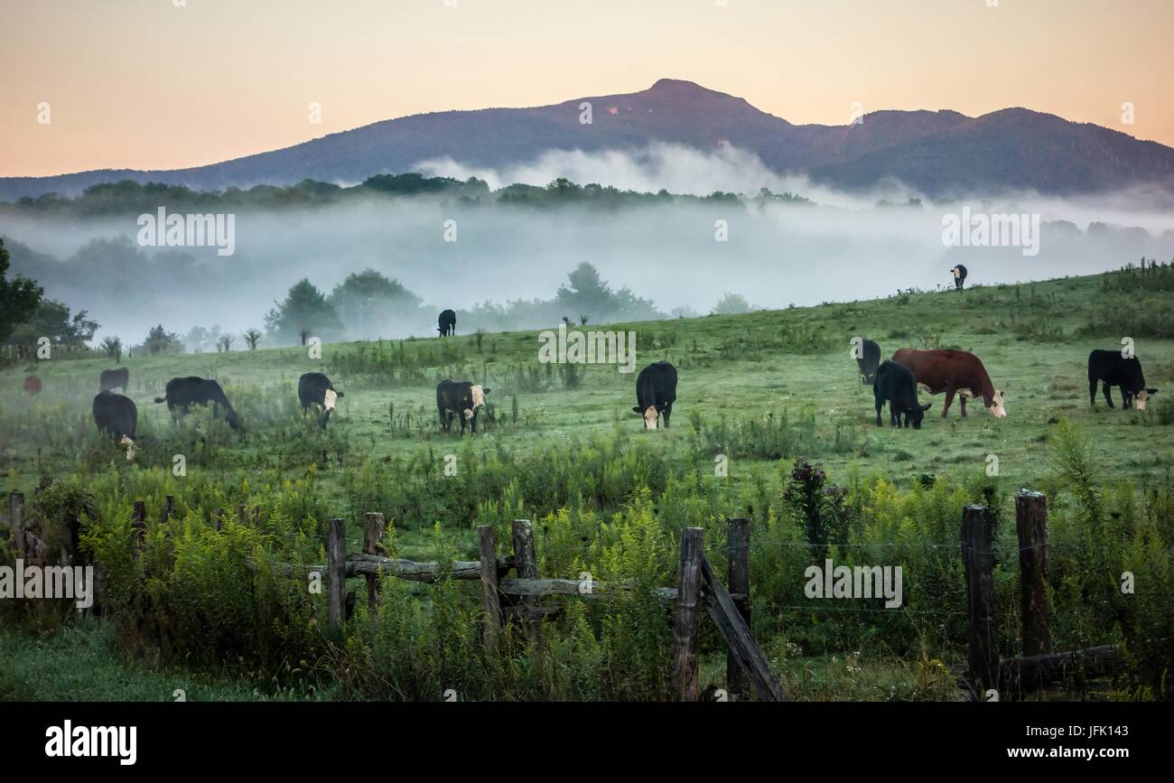 fog rolling through blue ridge parkway farm lands Stock Photo - Alamy