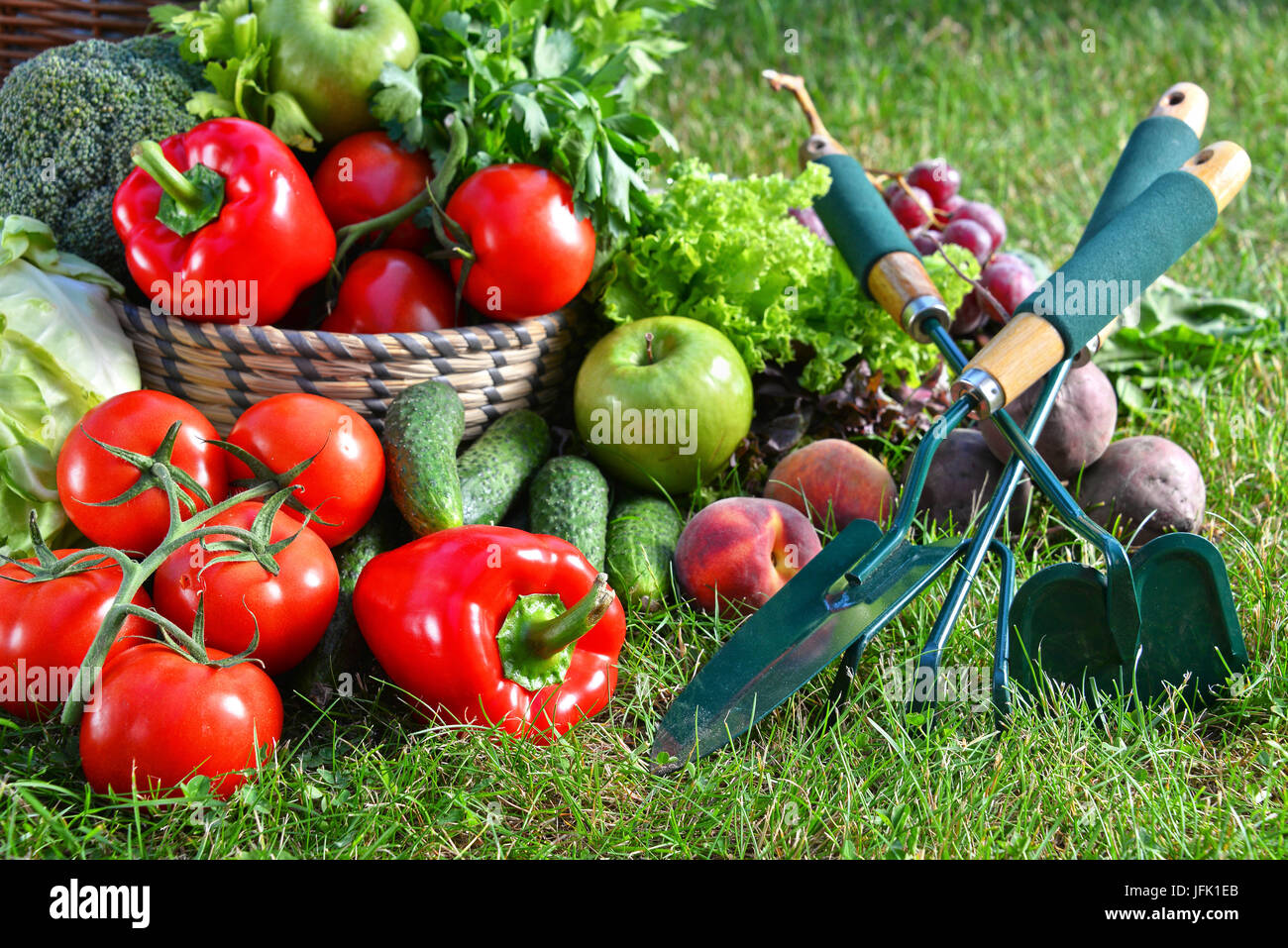 Variety of fresh organic vegetables and fruits in the garden Stock ...