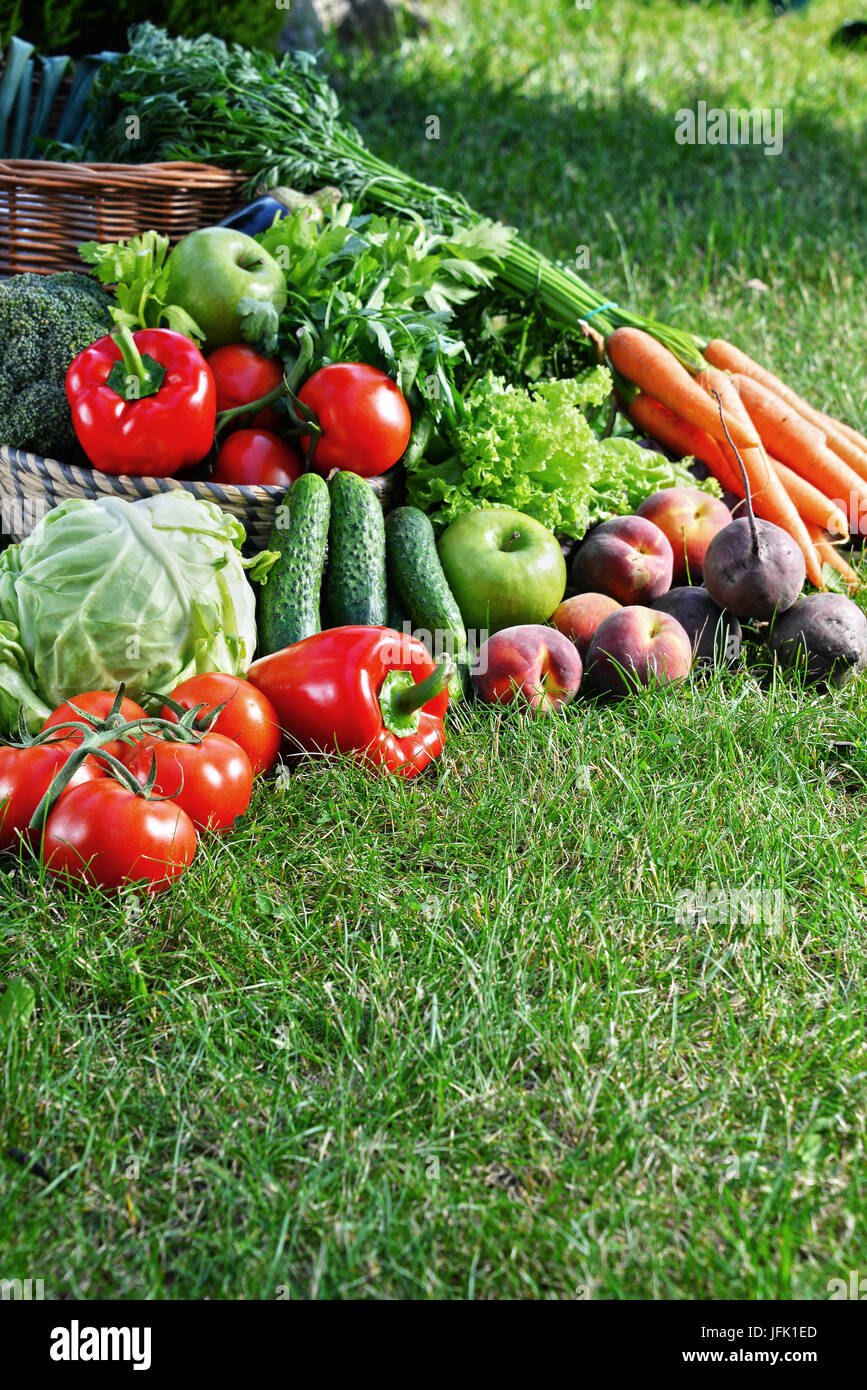 Variety of fresh organic vegetables and fruits in the garden Stock ...