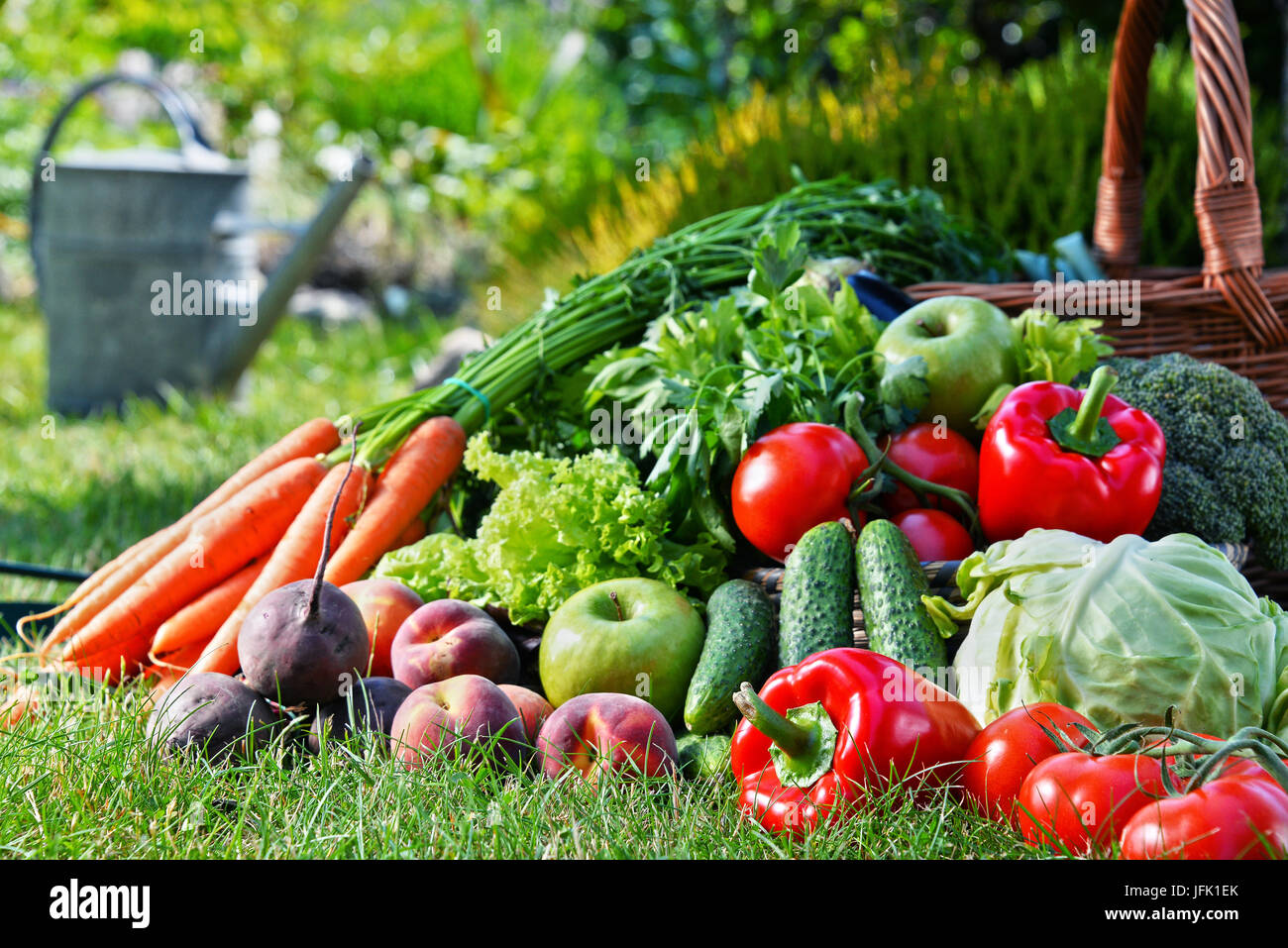 Variety of fresh organic vegetables and fruits in the garden Stock ...