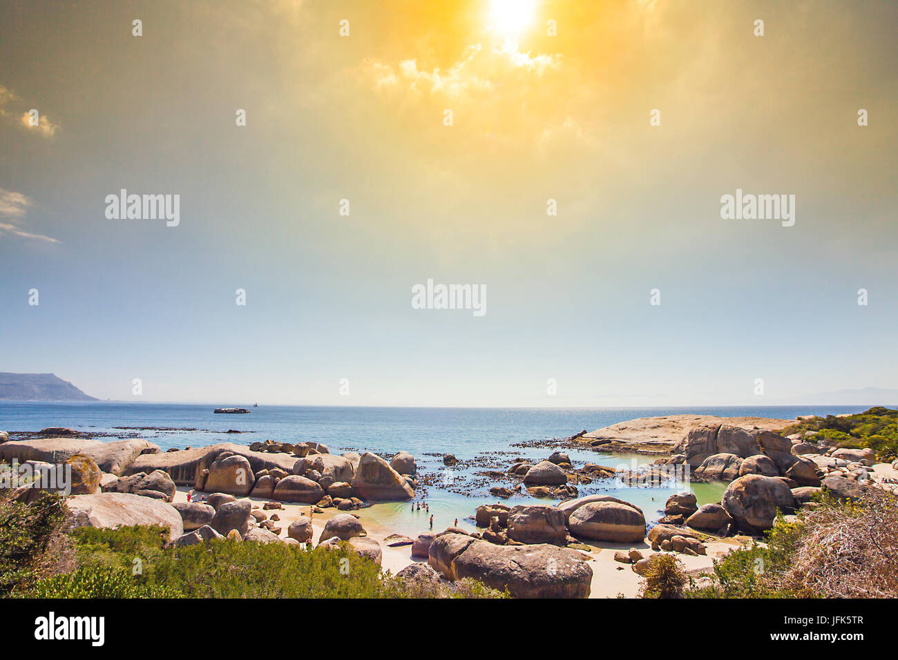 Penguin colony at False Bay in Simons Town South Africa Stock Photo