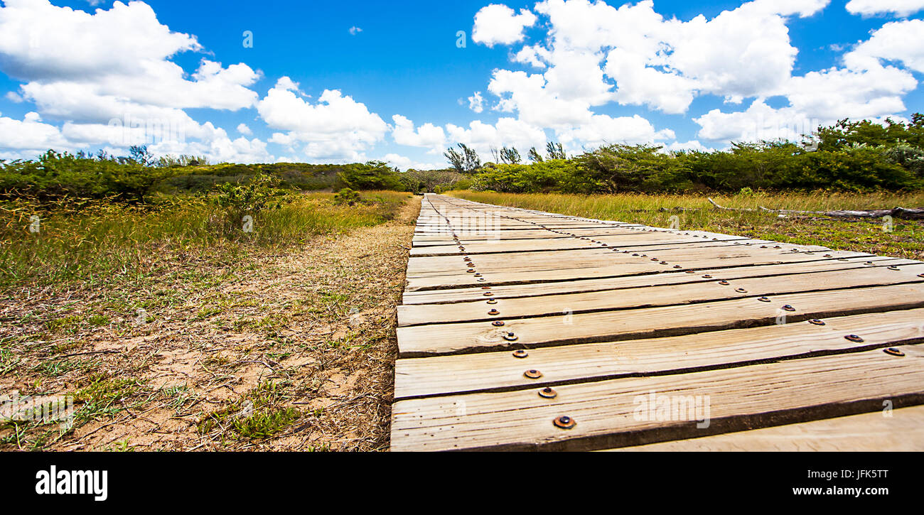 Estuary Boardwalk at the San Lucia River South Africa Stock Photo