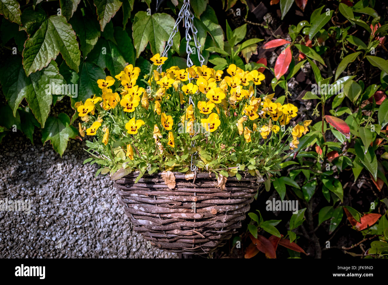 Hanging baskets garden hires stock photography and images Alamy