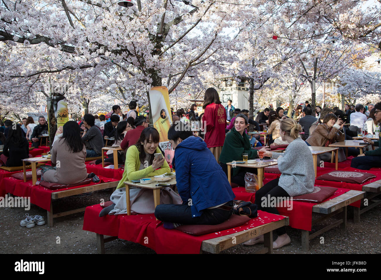 Japanese hanami in Tokyo during cherry blossom season Stock Photo