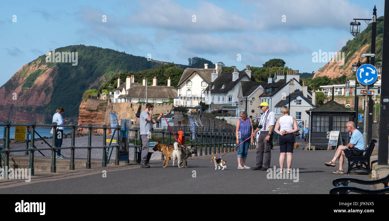 Sidmouth, Devon, 2nd July 17. UK Weather: A glorious sunny start to the day on the Esplanade at Sidmouth. Credit: South West Photos/Alamy Live News Stock Photo