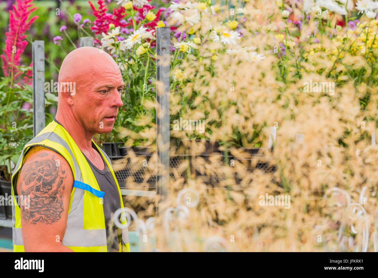 Hampton Court Palace, London, UK. 02nd July, 2017. Preparations for the Hampton Court Flower Show, organised by the  Royal Horticultural Society (RHS). In the grounds of the Hampton Court Palace, London, 02 July 2017 Credit: Guy Bell/Alamy Live News Stock Photo