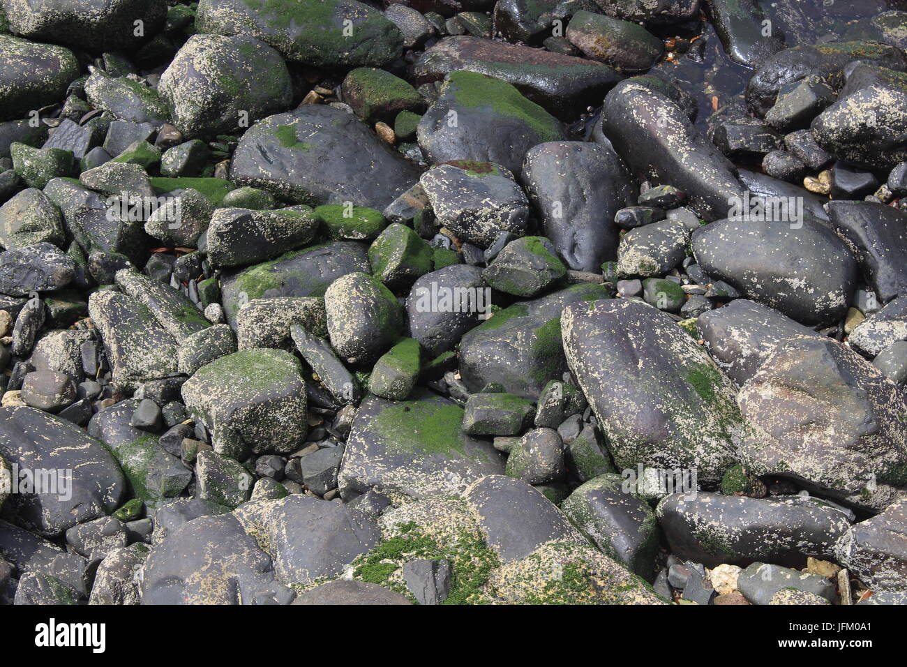 Mossy Rocks Close up Stock Photo - Alamy