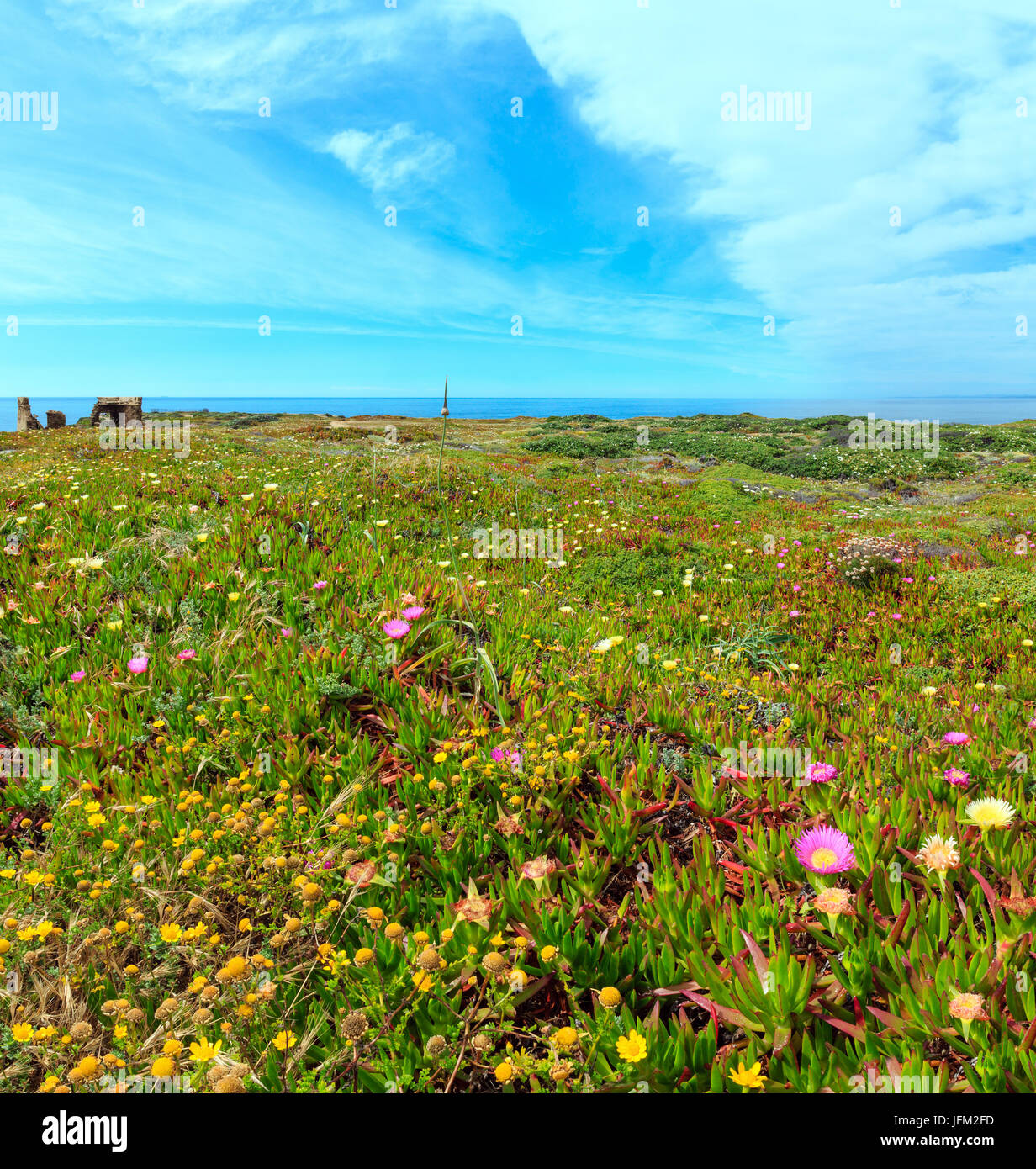 Summer Atlantic ocean coast (Algarve, Portugal). Stock Photo