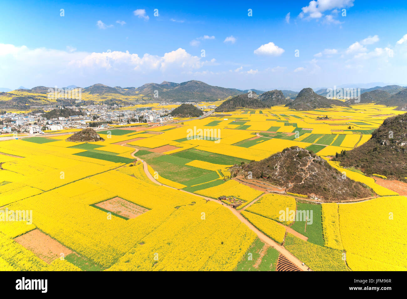 Rapeseed flowers of Luoping in Yunnan China Stock Photo