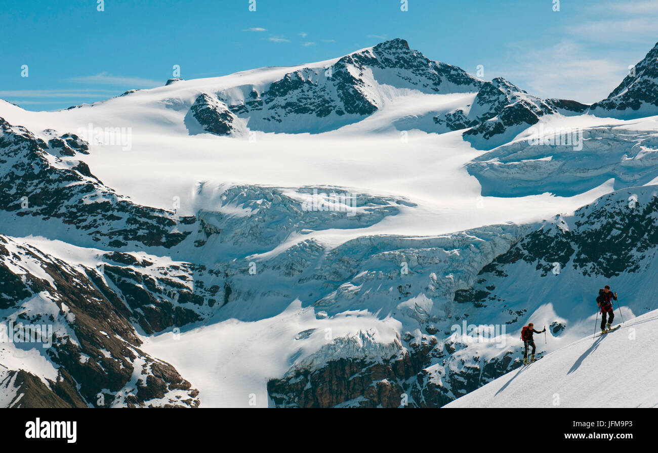 Skiers climbing Pizzo Tresero, Forni glacier, Lombardy, Italy Stock Photo
