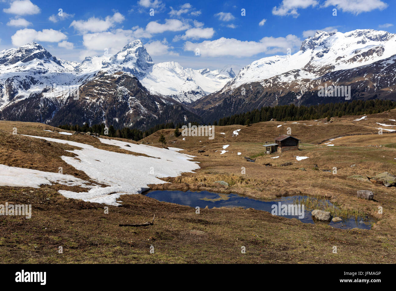 The beautiful bog land enviroment of Alp Flix, during the first period of spring, with Piz Platta in the background, Sur, Grisons, Switzerland Stock Photo