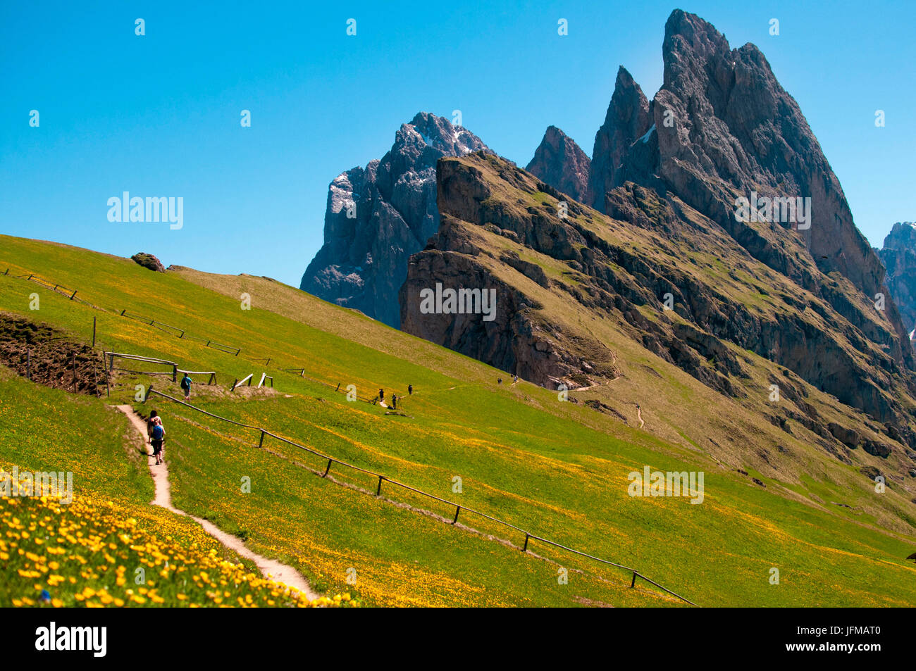 Trekking trail on the Seceda mountains with great views of the rocky peaks,  Dolomiti, Trentino Alto Adige, Italy Stock Photo - Alamy