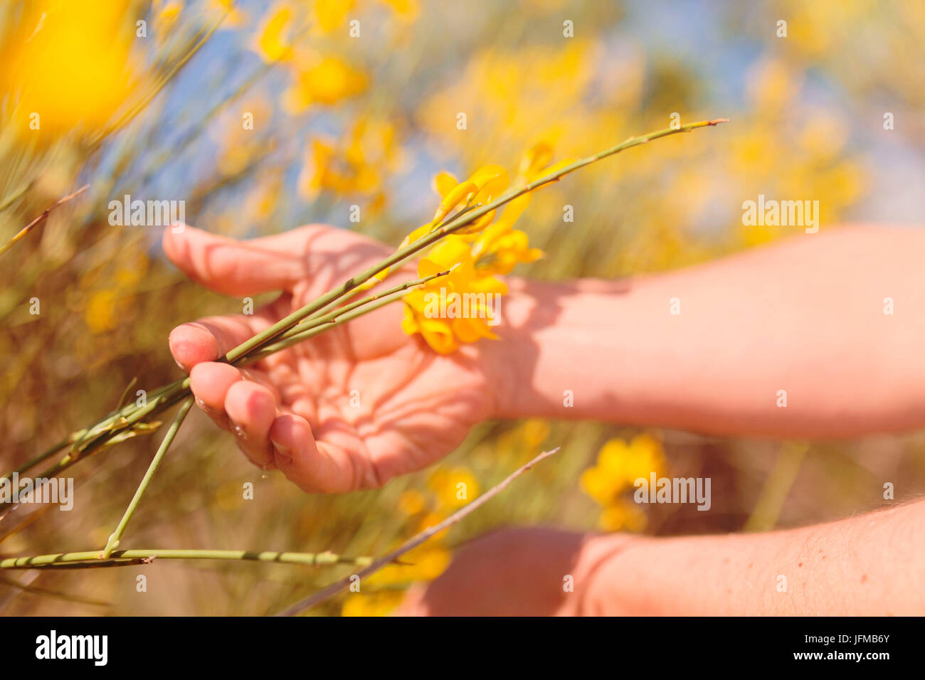 Europe, Italy, Umbria, Perugia district, Spello, backstage Spello flower festival, Corpus Domini Stock Photo