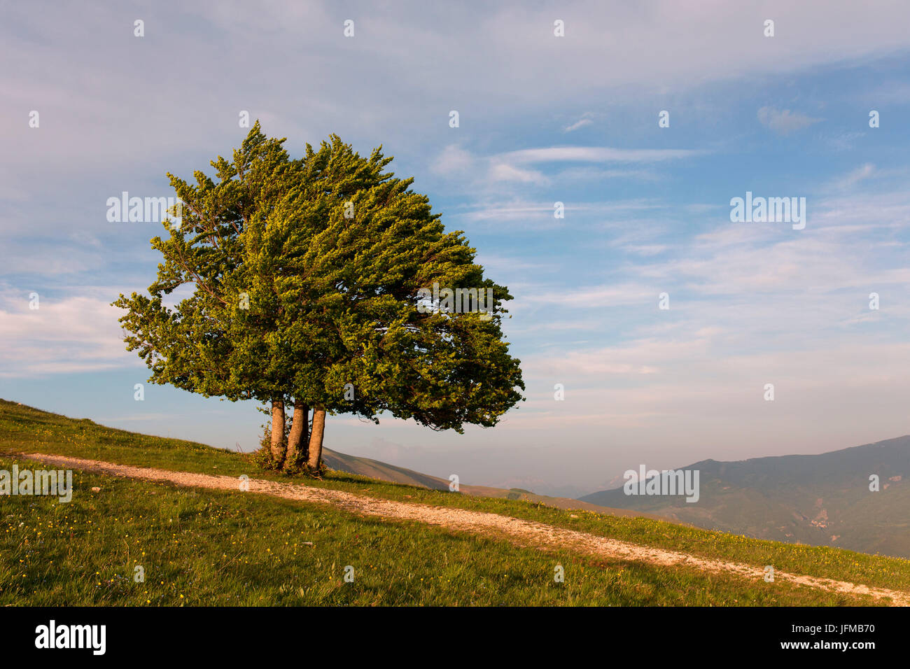 Europe, Italy, Umbria, Perugia district, Sibillini mountains, Castelluccio of Norcia village Stock Photo