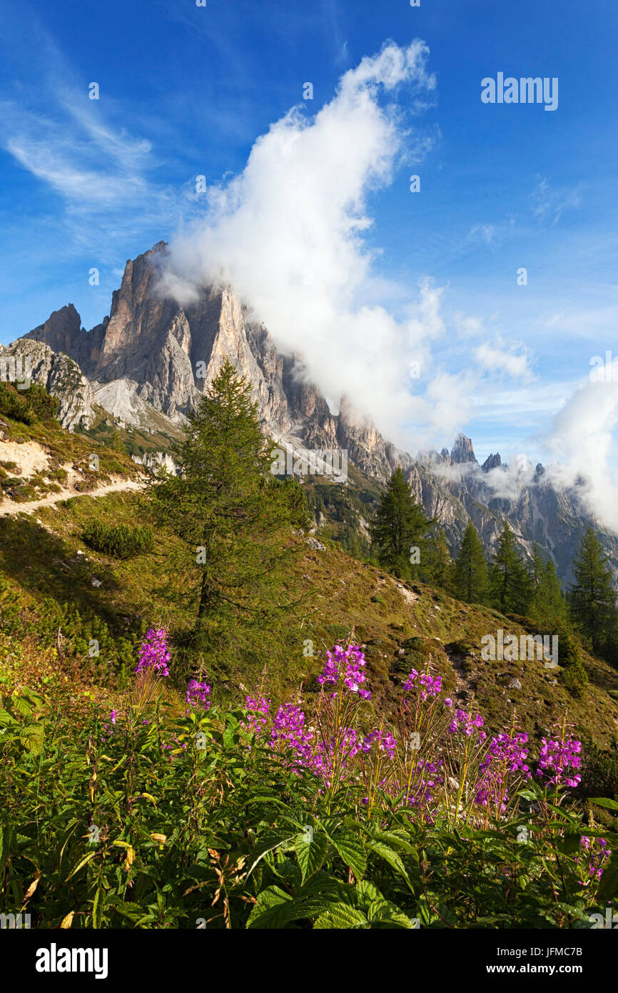 Cadini di Misurina, Dolomites, Auronzo di Cadore, Belluno, Veneto, Italy, Stock Photo