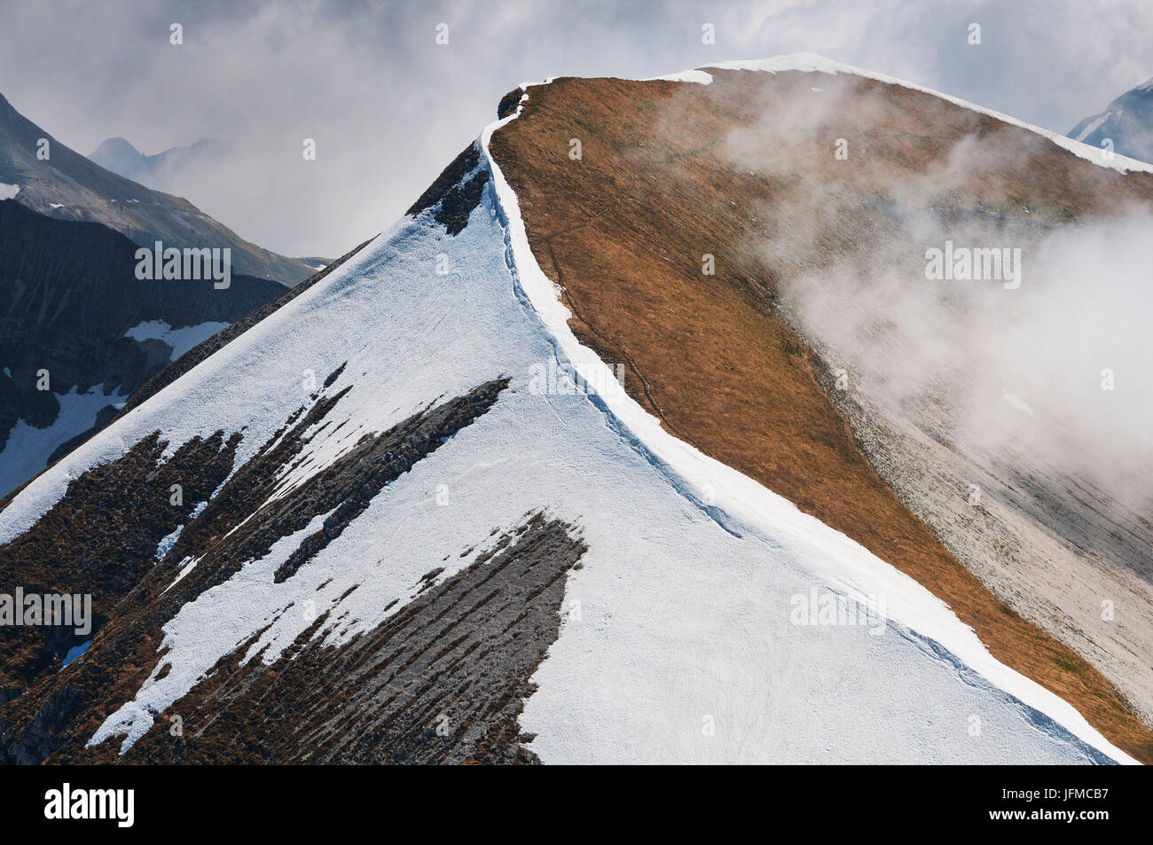Col di Luna, Feltre Alps, Dolomites, Belluno, Italy Stock Photo