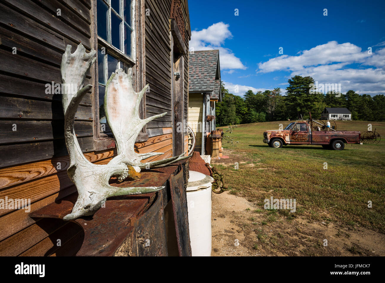 USA, Maine, Wells, moose antlers Stock Photo Alamy