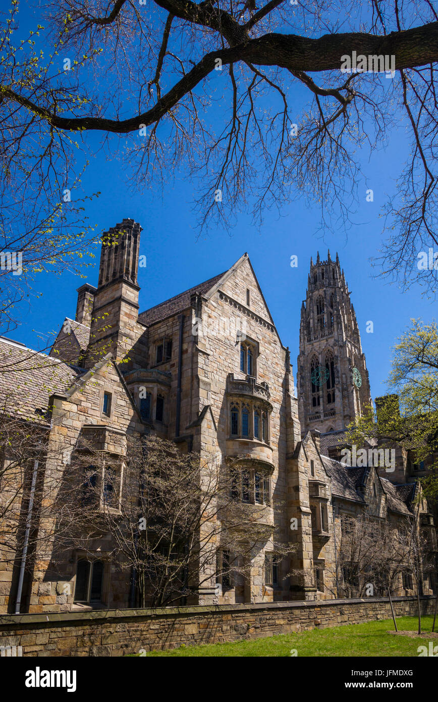Yale campus hires stock photography and images Alamy