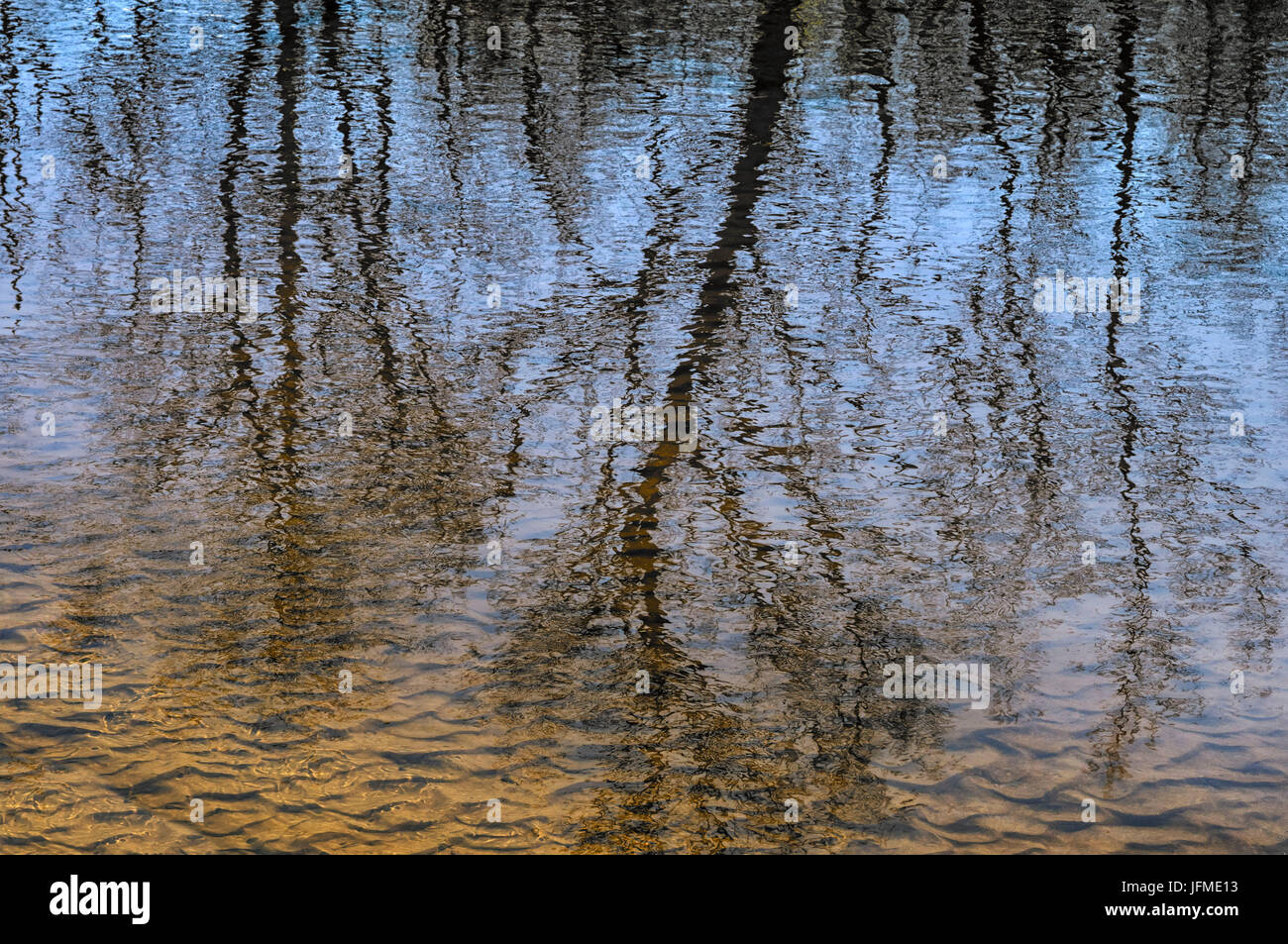 Natural Science, Reflection of trees in river water Stock Photo