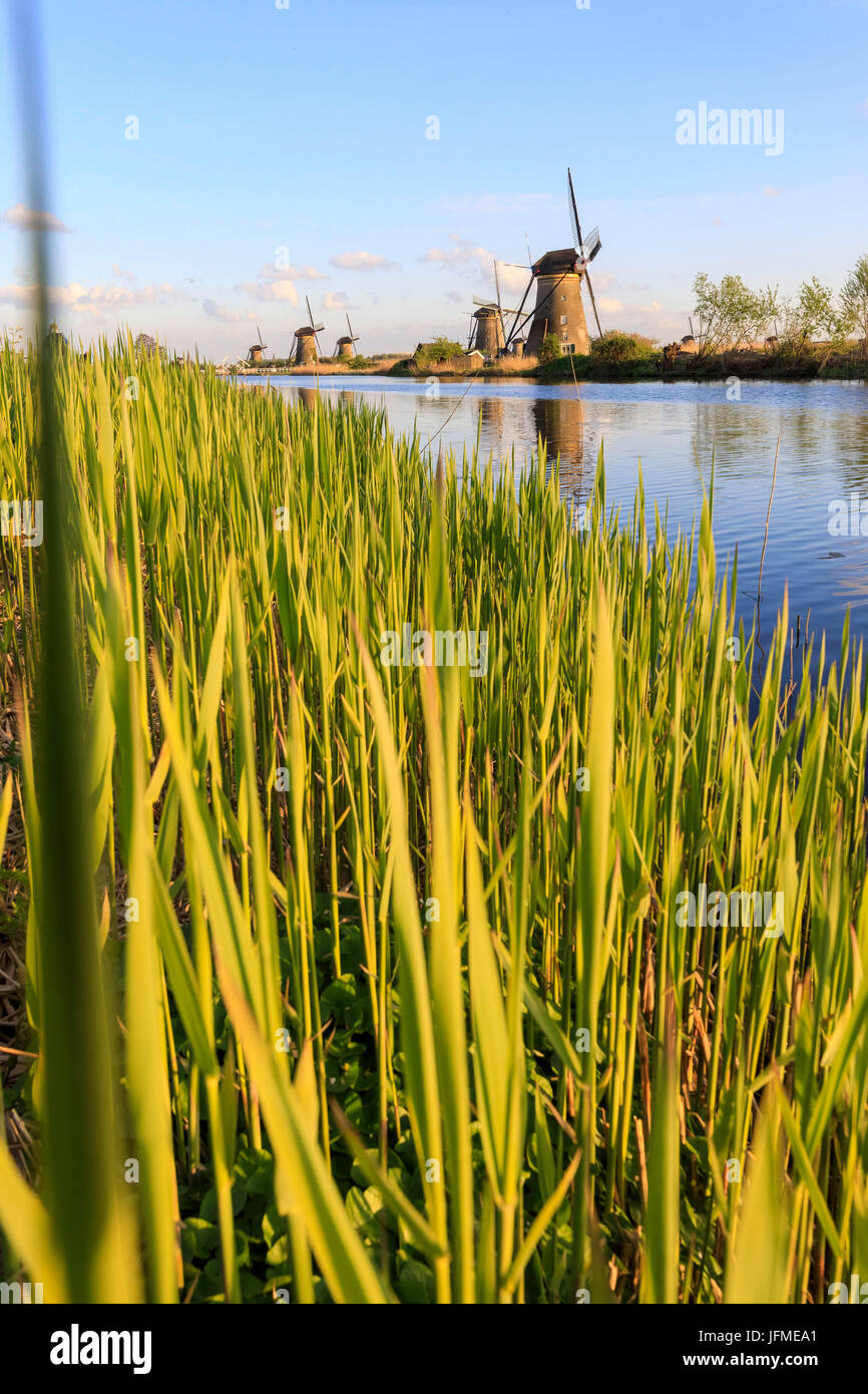 Typical windmills reflected in the canal framed by grass in spring Kinderdijk Molenwaard South Holland The Netherlands Europe Stock Photo