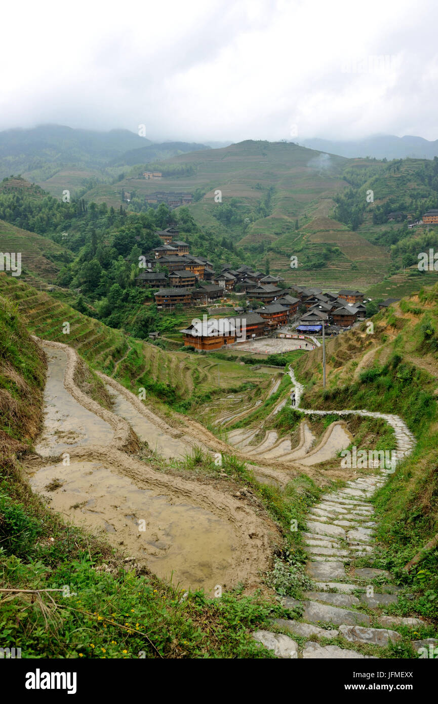 China, Guangxi Province, rice terraces at Longji around Longsheng, Dazhai village Stock Photo