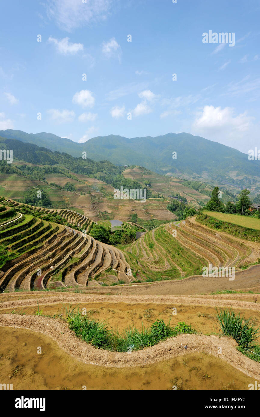 China, Guangxi Province, rice terraces at Longji around Longsheng Stock Photo