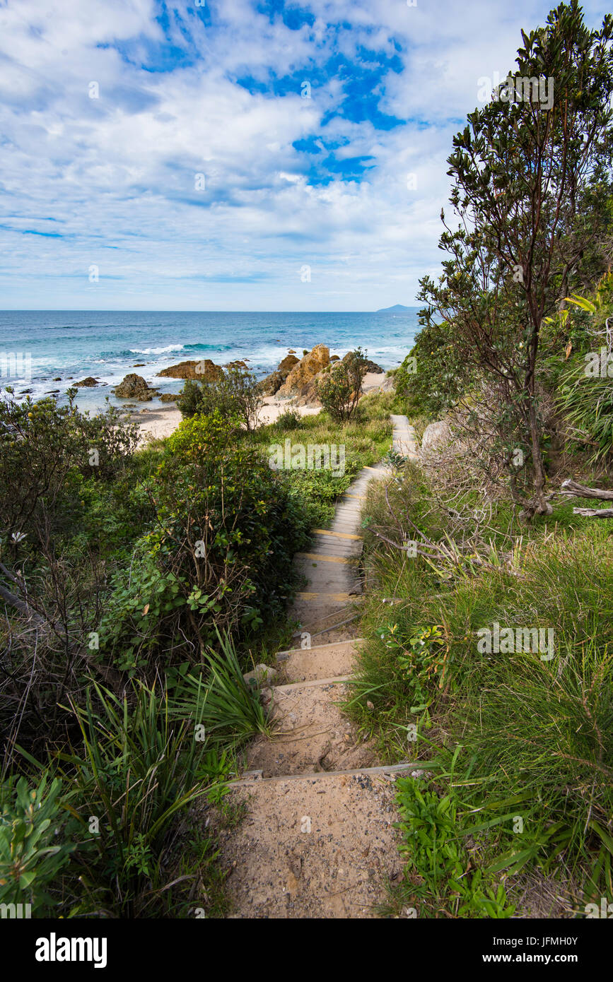 Eucalyptus trees on a path High Resolution Stock Photography and Images