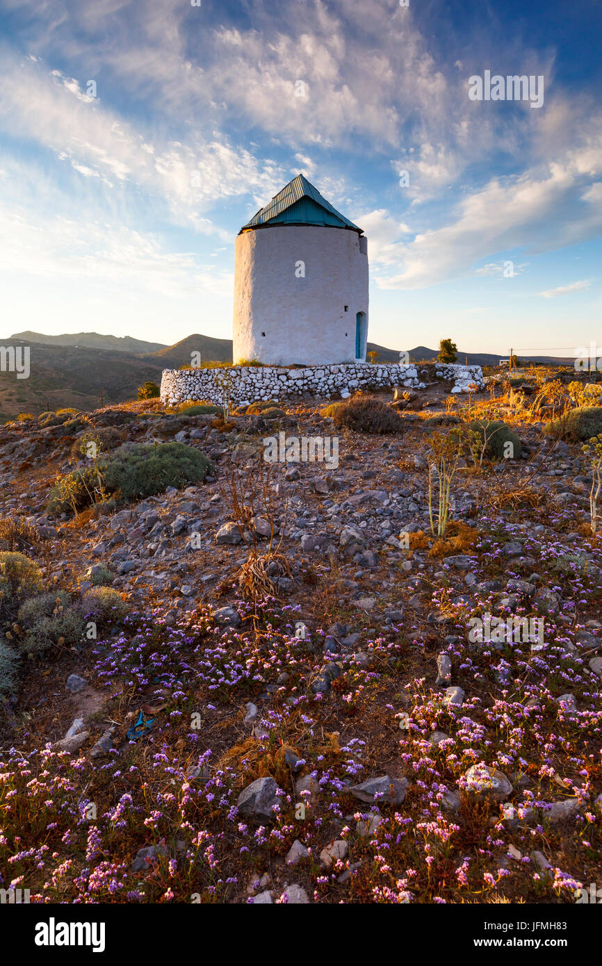 Old windmill and late spring flowers on Kimolos island in Greece. Stock Photo