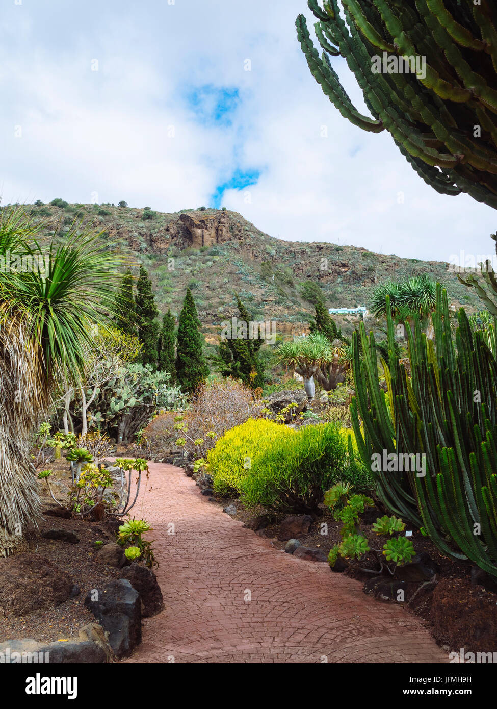 Cactus garden (Jardn de cactus y sucelentas) in the botanical gardens of Gran  Canaria, Canary Islands, Spain Stock Photo - Alamy