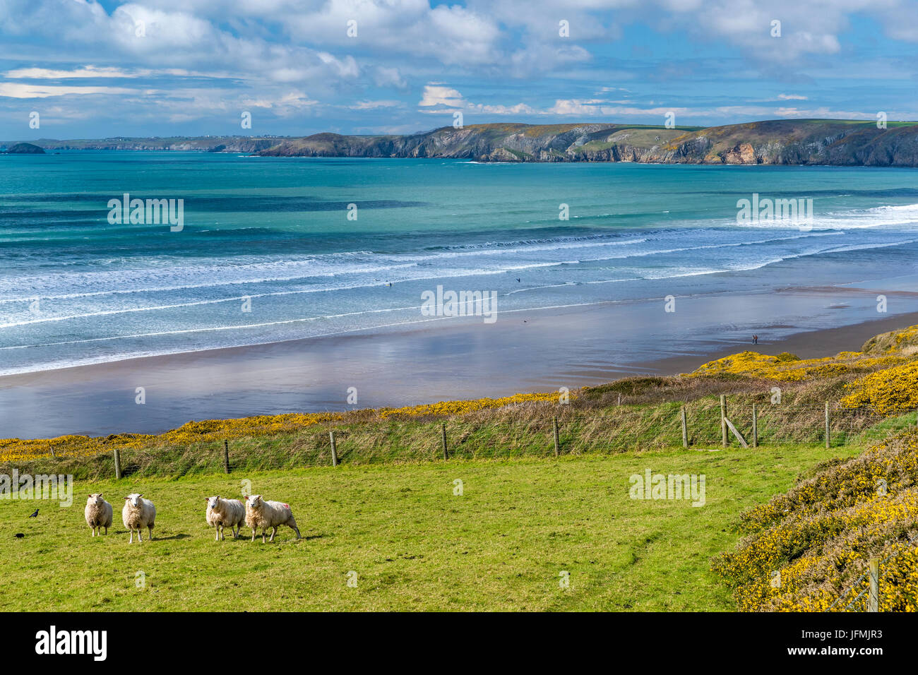 Newgale Sands, Pembrokeshire Coast National Park, Pembrokeshire, Wales ...