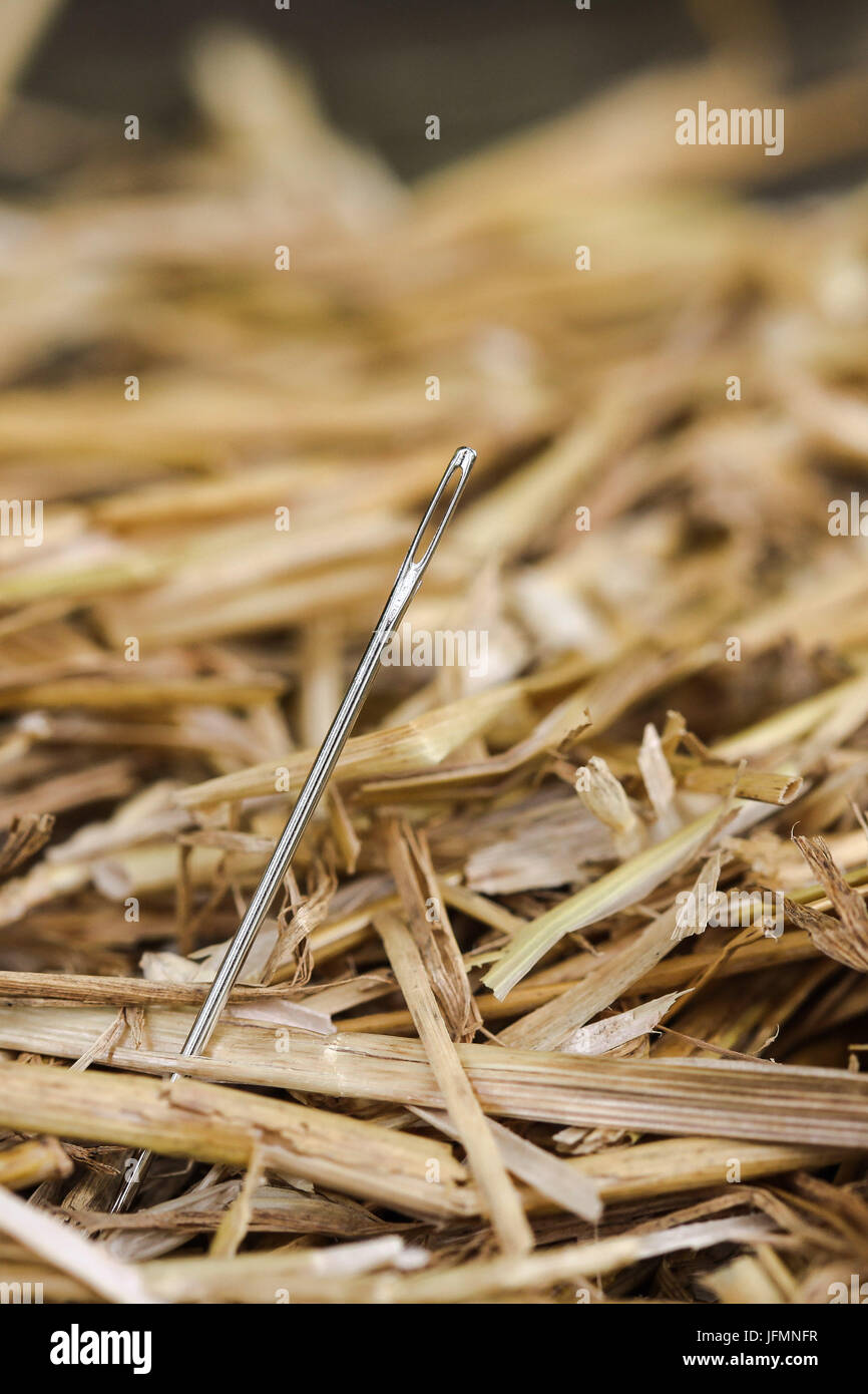 Needle in Haystack Stock Photo Alamy
