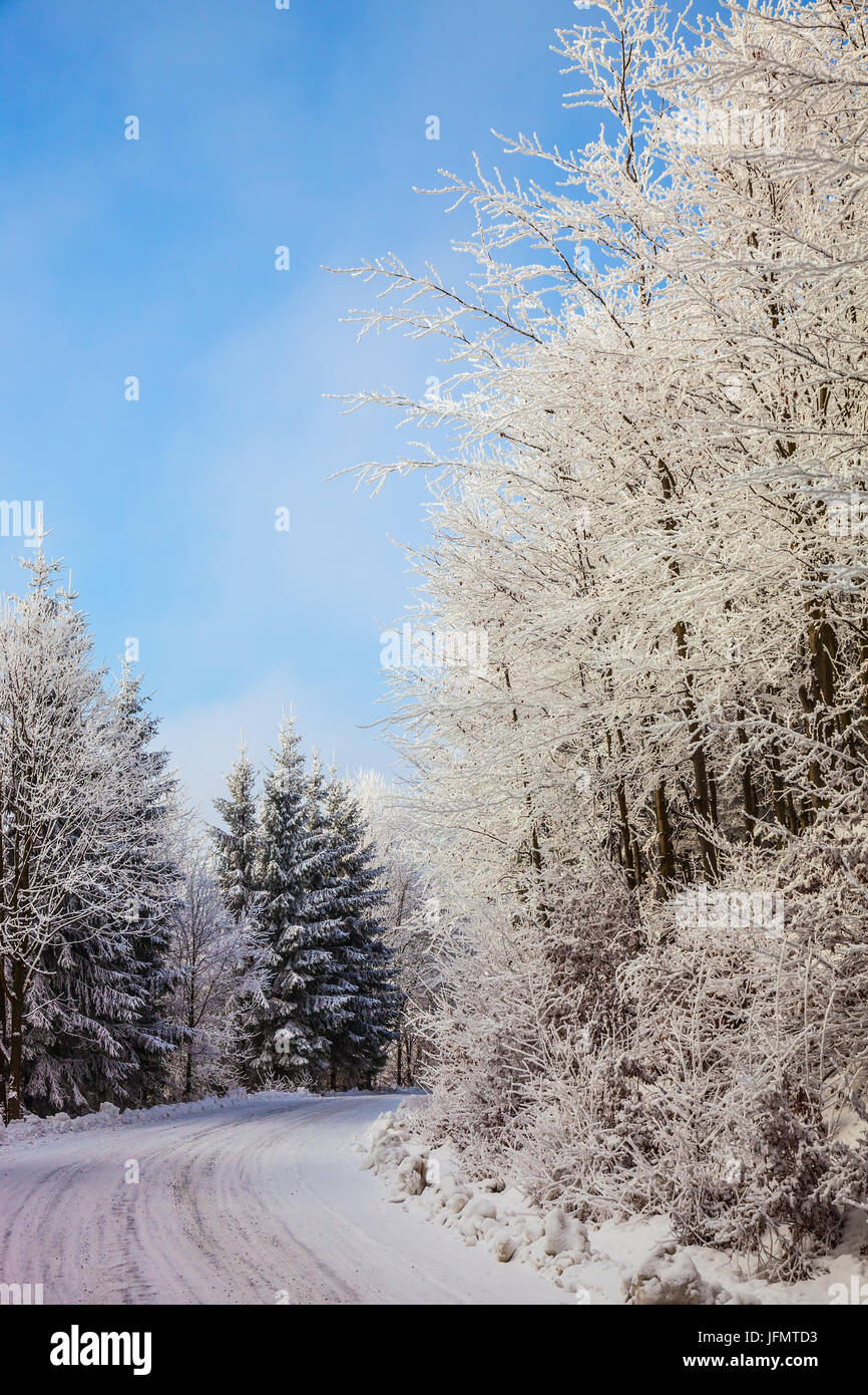 The road in the snowy forest in  New Year's Stock Photo