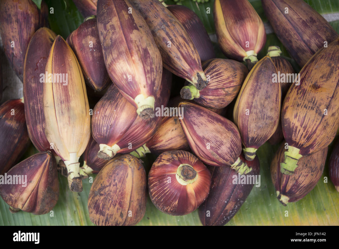 Banana flowers hires stock photography and images Alamy