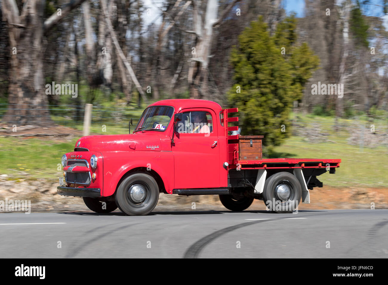 Vintage 1955 Dodge Fargo Truck driving on country roads near the town of Birdwood, South Australia. Stock Photo