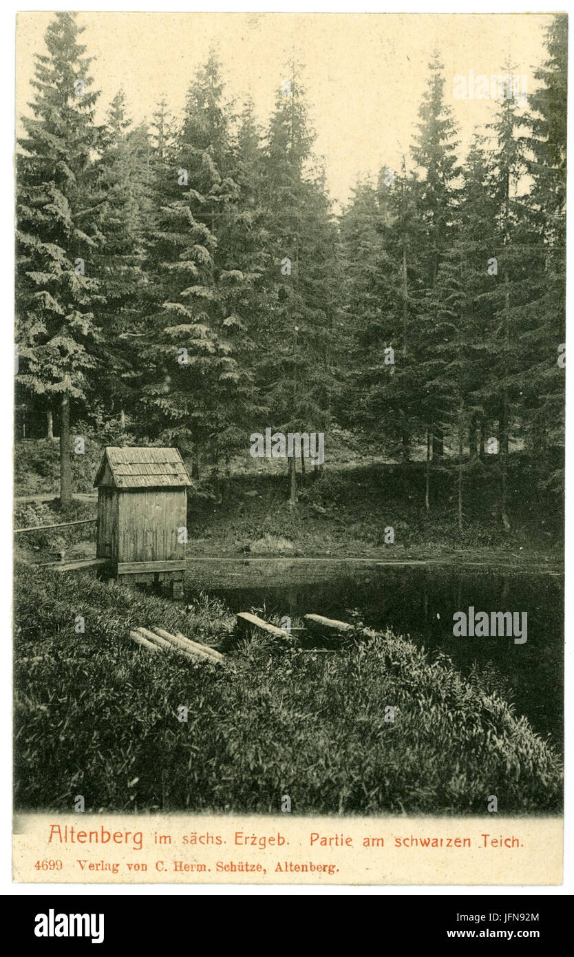 04699Altenberg1903Am schwarzen TeichBrück & Sohn Kunstverlag Stock