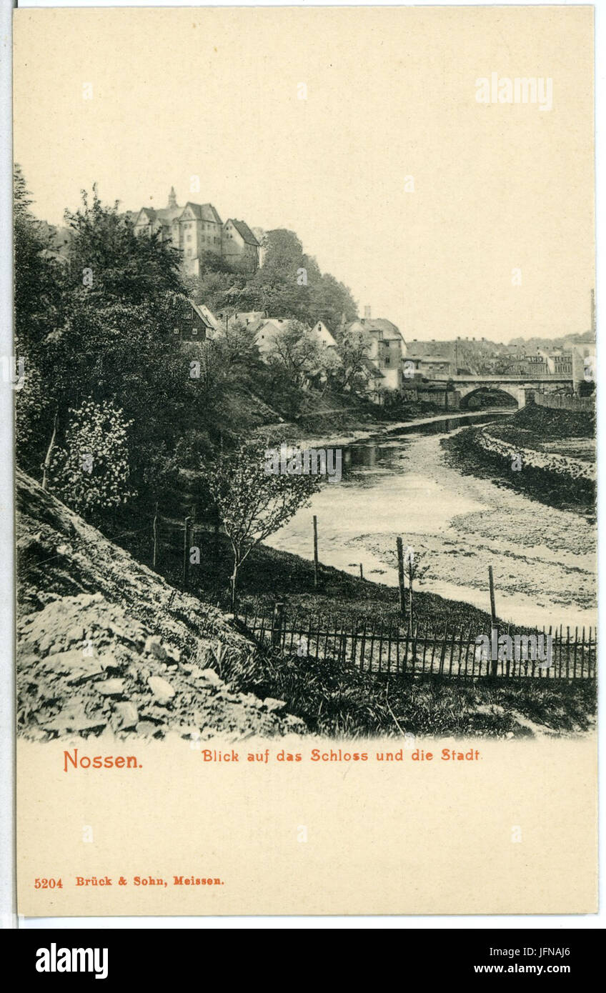 05204-Nossen-1904-Blick auf das Schloß und die Stadt-Brück & Sohn Kunstverlag Stock Photo