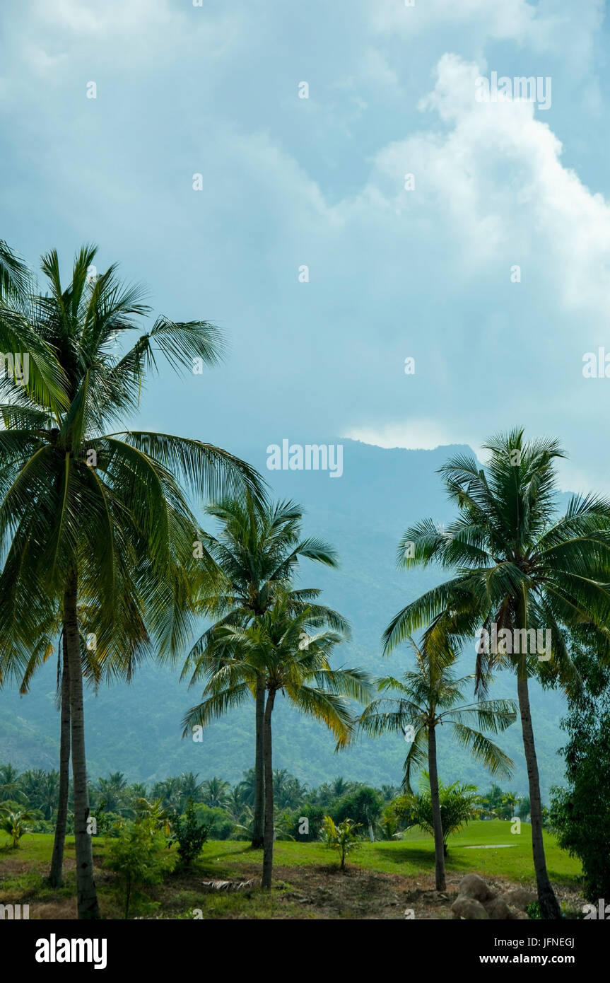 A tropical landscape with palm trees on the cloudy sky Stock Photo - Alamy