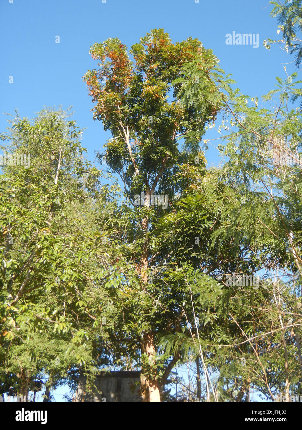 0243jfTalbak Doña Remedios Trinidad Halls Roads Hills Trees Schoolfvf