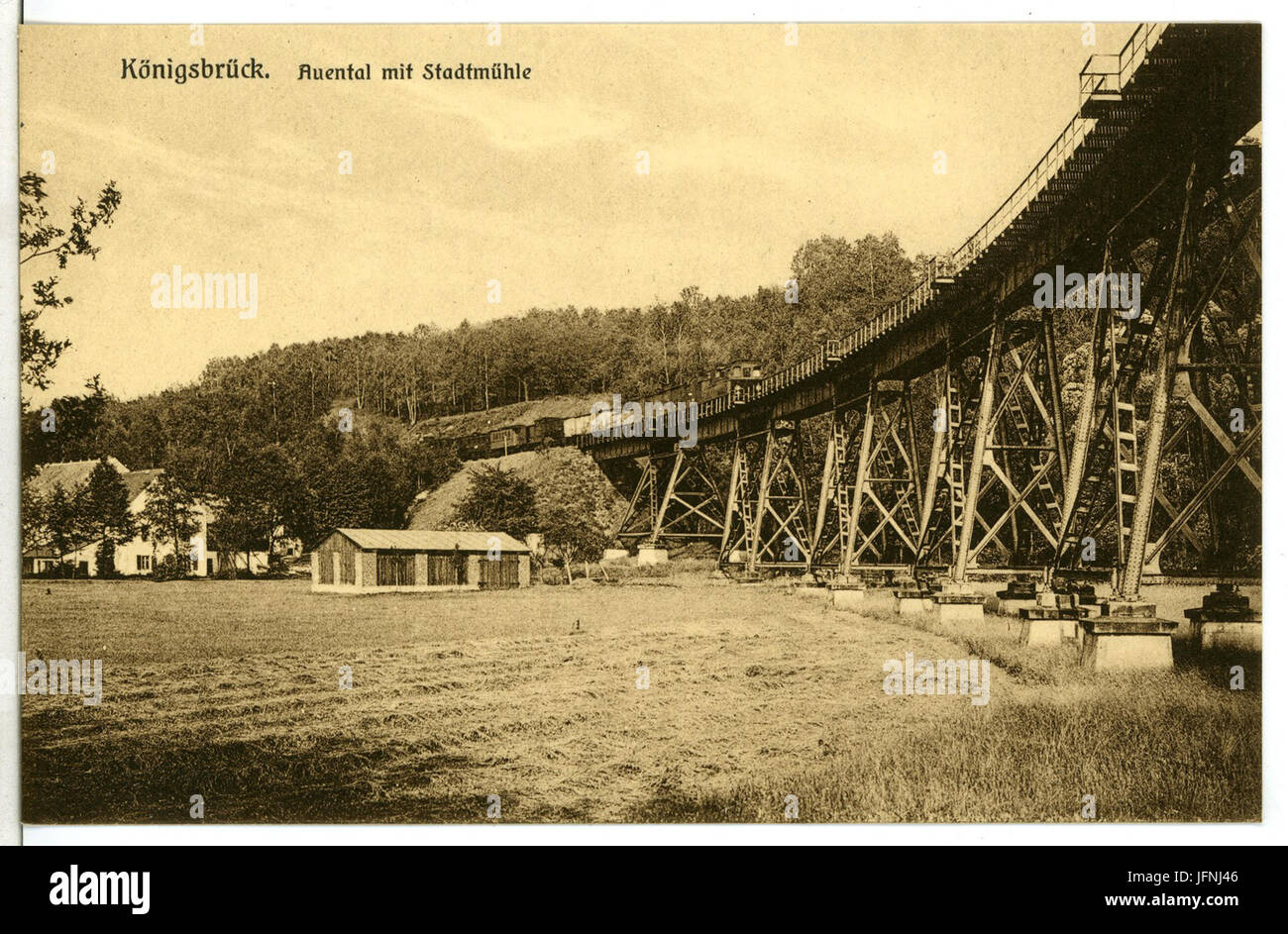 08952-Königsbrück-1907-Auental mit Stadtmühle-Brück & Sohn Kunstverlag Stock Photo