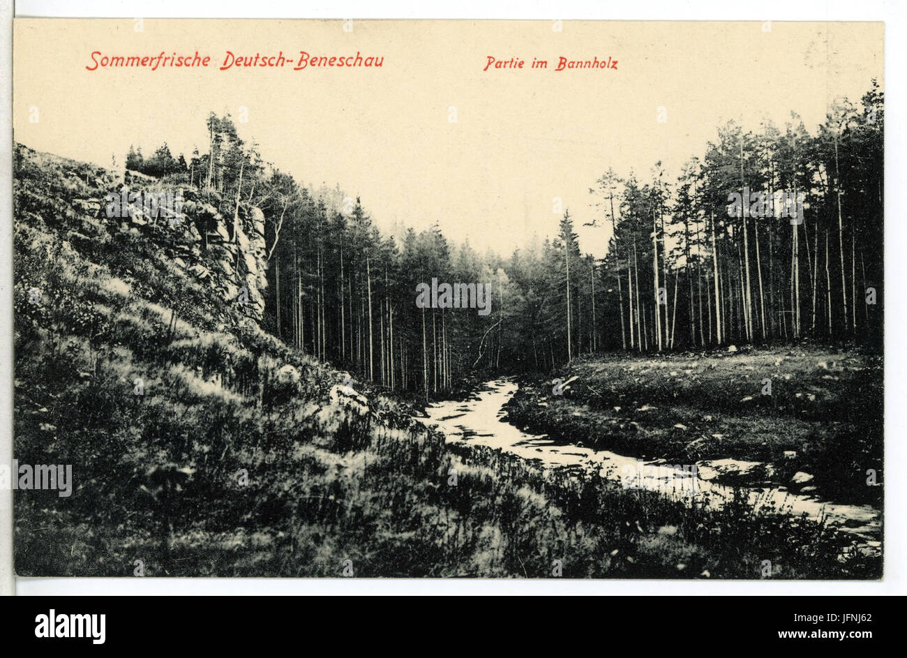 08968-Beneschau-1907-Im Bannholz-Brück & Sohn Kunstverlag Stock Photo