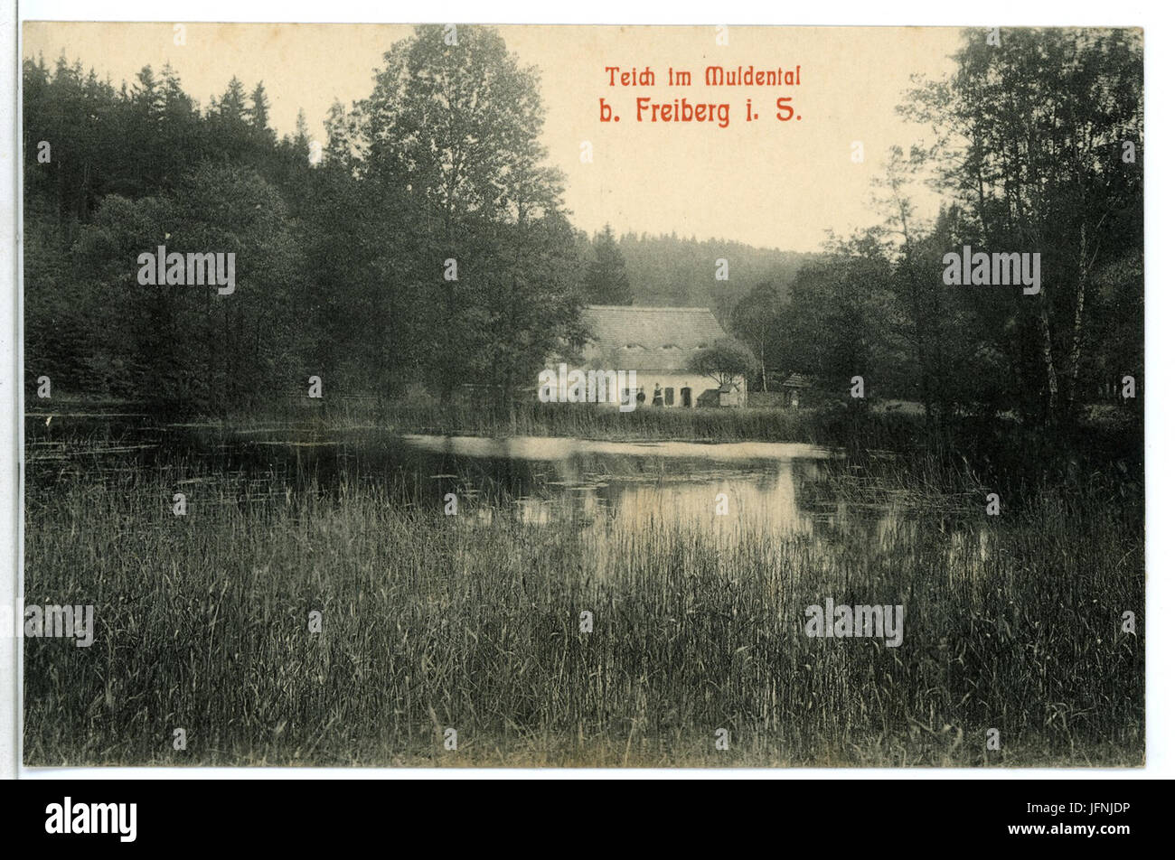 Teich im muldental hires stock photography and images Alamy