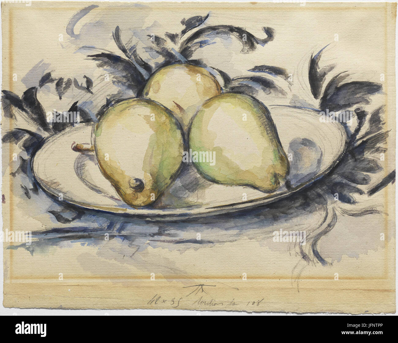Pear Evolution Pears evolution hi-res stock photography and images - Alamy