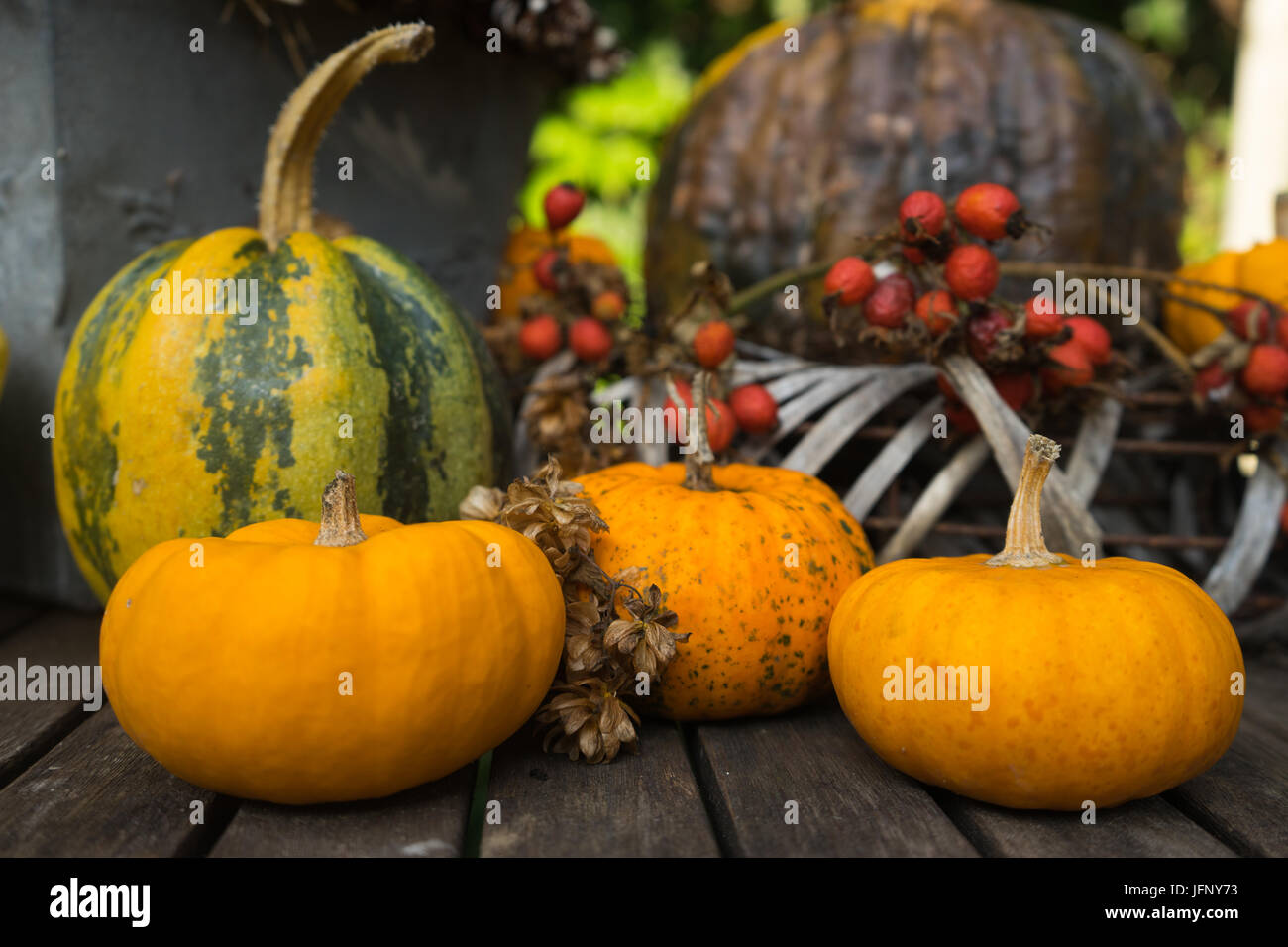 Seasonal autumn pumpkin table decoration for holiday background Stock Photo